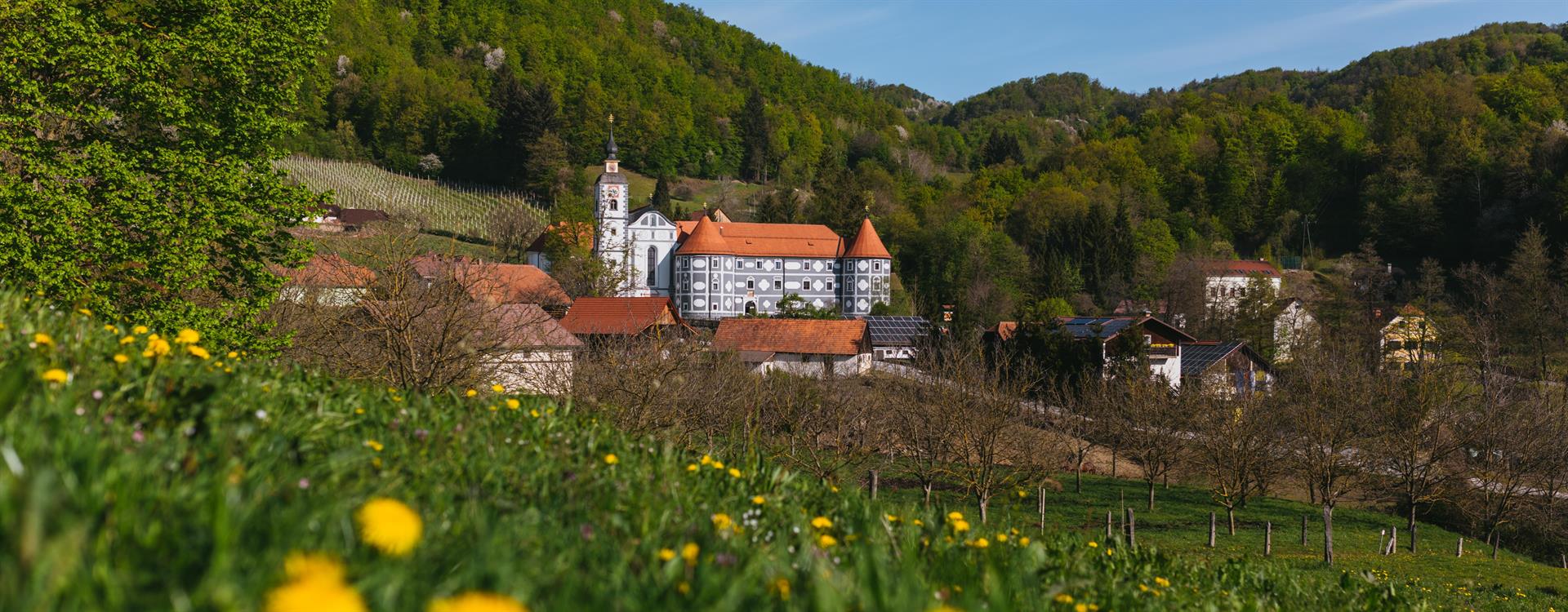 Olimje